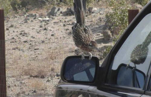 JT Park Villa 360 Views and Starlink on 10 acres - Foto 38