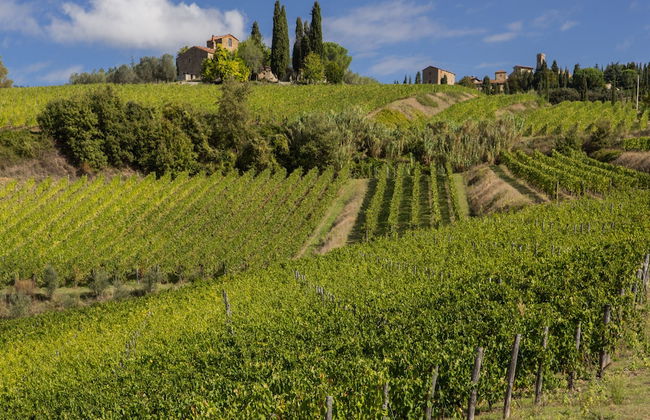 Castello di Volpaia - Foto 39