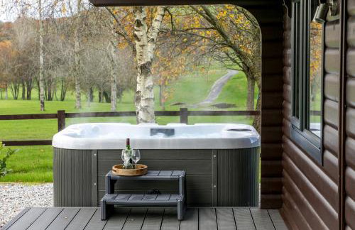 Chestnut, 6 Fingle Glen Lodges - Hot Tub - Free Parking & WiFi - Pets - Foto 25