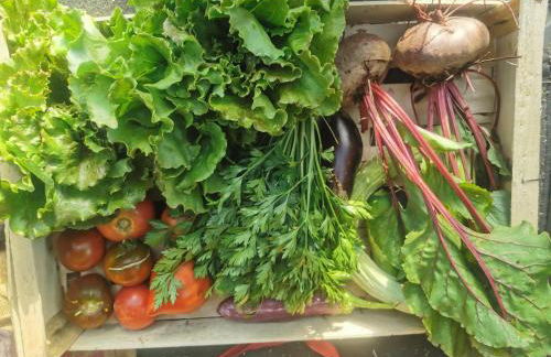 L'atelier du Salagou - Foto 13