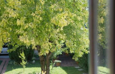 Corte L'Ovo - Historic Country House 15 min from the heart of Verona - Foto 58