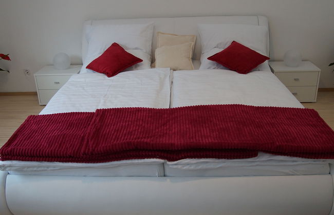 W & S Executive Apartments - Obertraun - Foto 19