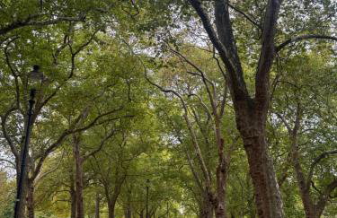 Cozy & Centra 1Bflat - Marylebone - Foto 1