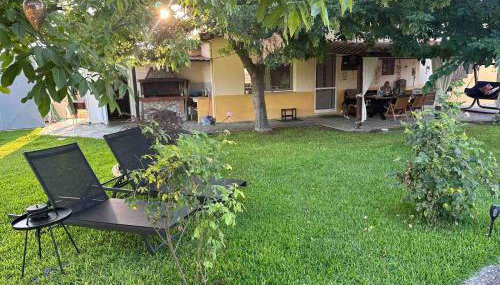 Villa Mihaila - Photo 2, Garden, sunbed, Garden view