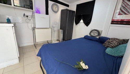 1 Bedroom studio - Photo 3