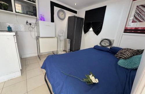 1 Bedroom studio - Photo 3