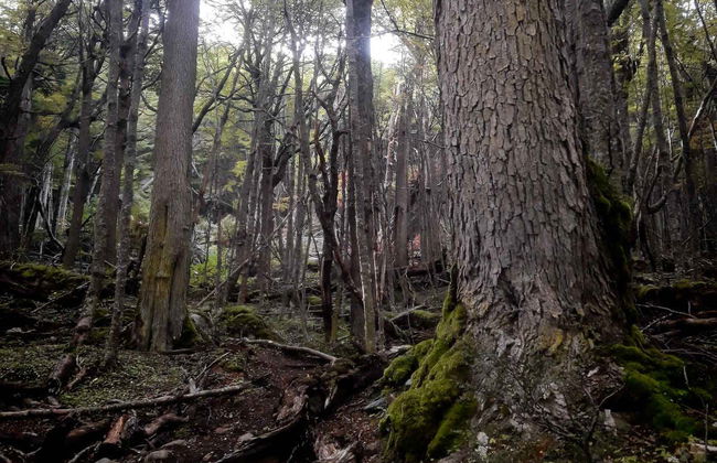 Vinciguerra Glacier Hike - Photo 3