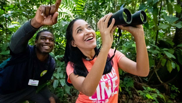 Castries Waterworks​ Bird Watching - Photo 2, Birdwatch in the rainforest of Saint Lucia