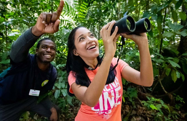 Avistamiento de aves en Castries Waterworks - Foto 16
