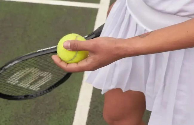 The Mole Resort - Lodges - Photo 49