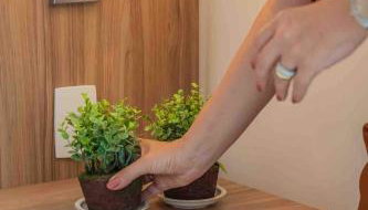 Flat Completo para uma estadia perfeita NOTA FISCAL - Foto 4