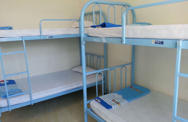 Friends Homestay - Hostel - Foto 6