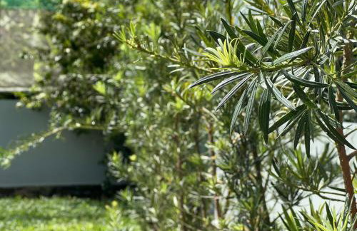 Casa em Petrópolis - Foto 29