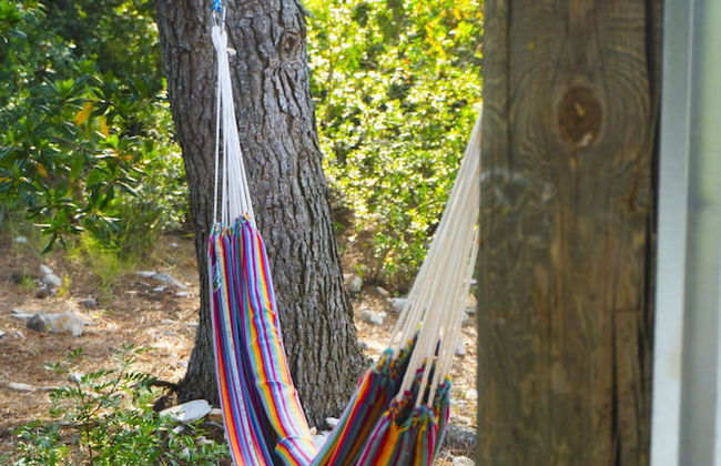 Victorious VIScovery Red - Foto 46