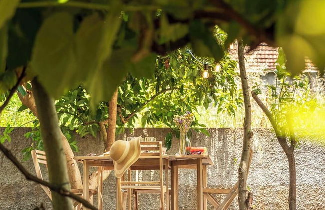 Vacations in the Countryside - Casinha dos Canhas - Foto 27