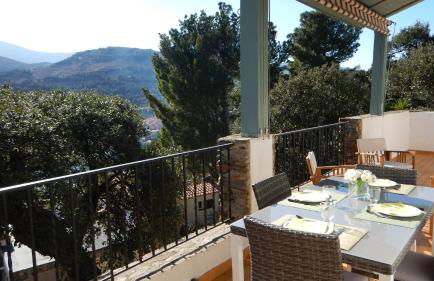 Les mimosas - Foto 4