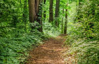 Cottage Wilkenburg - das luxuriöse und idyllische Ferienhaus - Foto 39