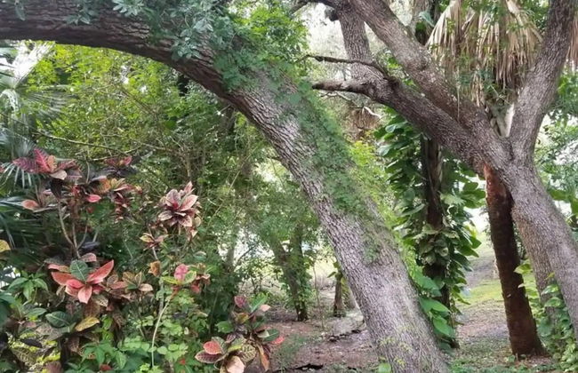 New Smyrna Beach Townhouse/flagler Ave/beach/walk Everywhere and Pet Friendly! - Foto 44