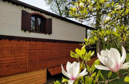 Roulotte Comtoise à Strasbourg - Foto 11