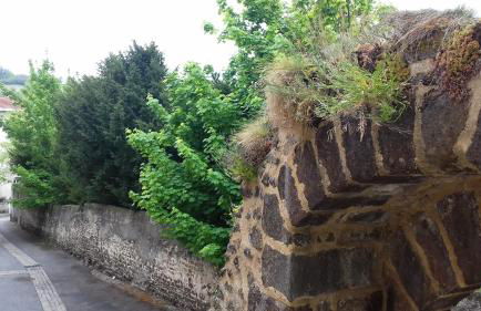 Le Petit Dyke - Foto 16