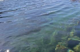 Chalé Montanhez hidromassagem piscina - Foto 36