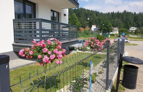 Willa VITA Muszyna - rodzinne apartamenty blisko natury i atrakcji - 15min pieszo do centrum - 15min autem do stoku - Foto 12