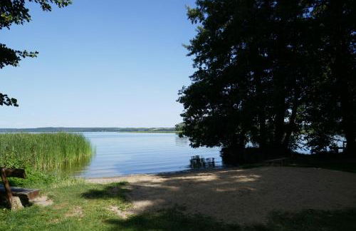 Kugelhaus Phoebe Charmantes Kugelhaus aus Holz am Waldrand des Tollensesees - Foto 34