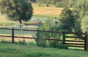 Hertford farm Woodland cabin pet friendly firepit bbq - Foto 28