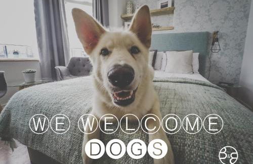 Cosy home in Portrush - Foto 6