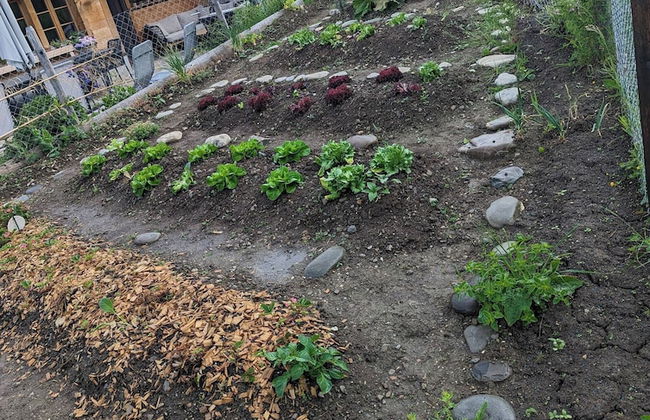 Chalet Grittelihus Near Interlaken, in a Natural Paradise - Photo 26