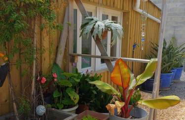 Studio cocooning - Foto 3