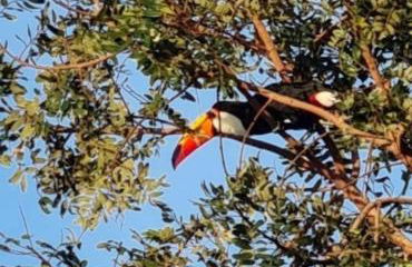 Lindo Sítio Estilo Moderno - Foto 64