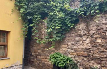 Bike & Relax - Foto 13