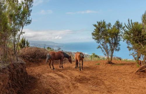 Holiday Home El pajal House Relax by Interhome - Foto 9