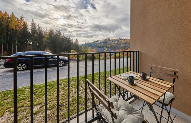 Černý Důl - Foto 23