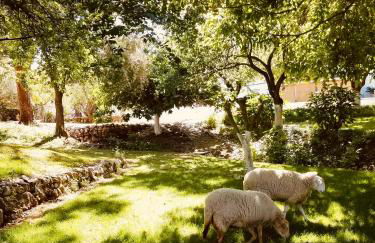 Cortijo Bablou - Foto 23