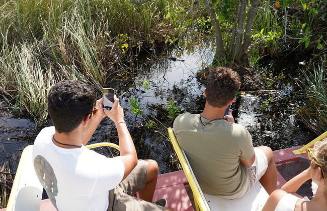 Excursion de luxe dans les Everglades - Photo 3