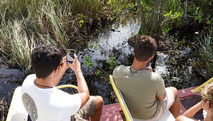 Excursión de lujo a los Everglades - Foto 3, Excursión a Miami