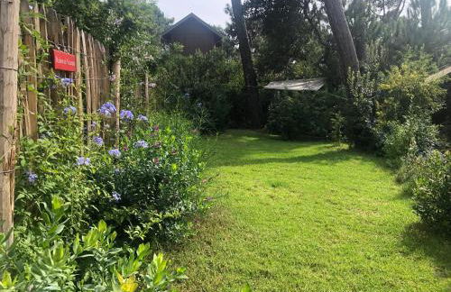 Maison bois 10 pers CapFerret Plage des Américains - Foto 20