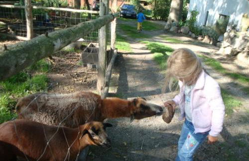 Haus Schneewittchen - Photo 8