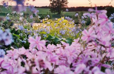"Dolina szczęścia" Kartkowo - Foto 27