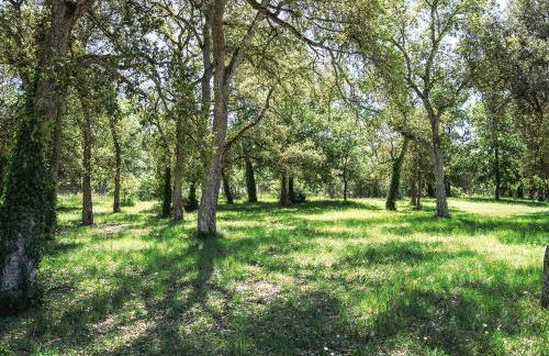 Masia Can Solà Gros - Foto 63