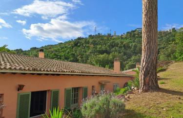 La Casa Celestial - Foto 38