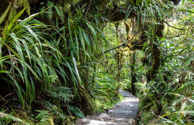 Tour in Saint-Paul - Foto 7