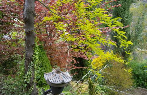 La Casita con piscina privada de tres dormitorios - Photo 46