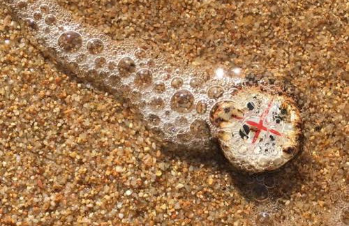 Dependance Pavoncella - Foto 45