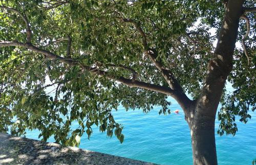 Apartments Lilly by the sea - Photo 35