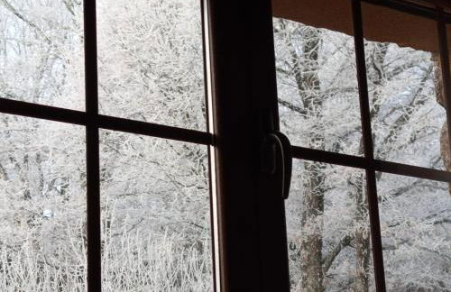 Estrella del alba - Foto 27