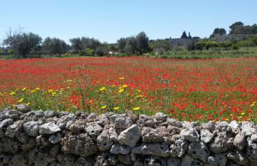 Fata Morgana - Foto 34