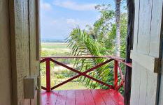 Premium Amazon Jungle Lodge - Foto 30